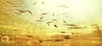 32.古代丝绸之路丝绸历史 32.古代丝绸之路丝绸历史