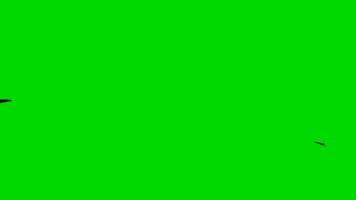 绿幕视频素材蝴蝶