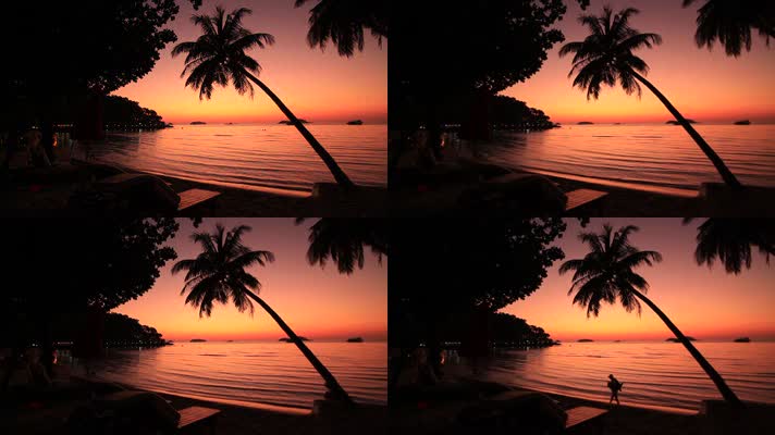 浪漫海滩椰子树水面阳光