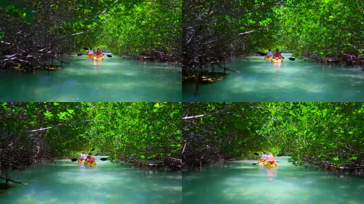 密林深处的河流