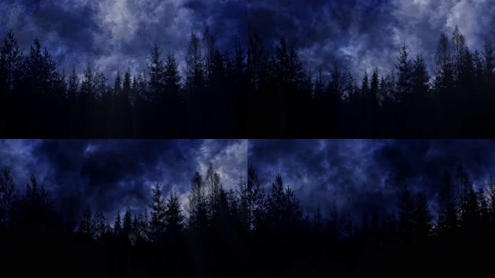 夜景树林流云