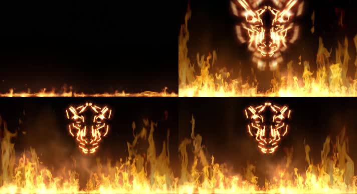 豹头 火摇滚背景