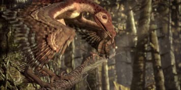 恐龙中国鸟龙用毒液捕食热河龙三维动画