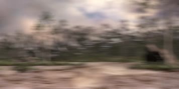 马普龙和潮汐龙战斗