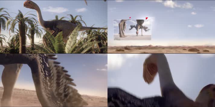 羽毛类恐龙巨盗龙争夺交配权三维动画