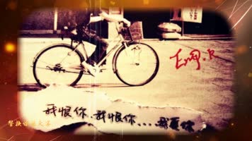 会声会影x8感恩感动父母写真视频