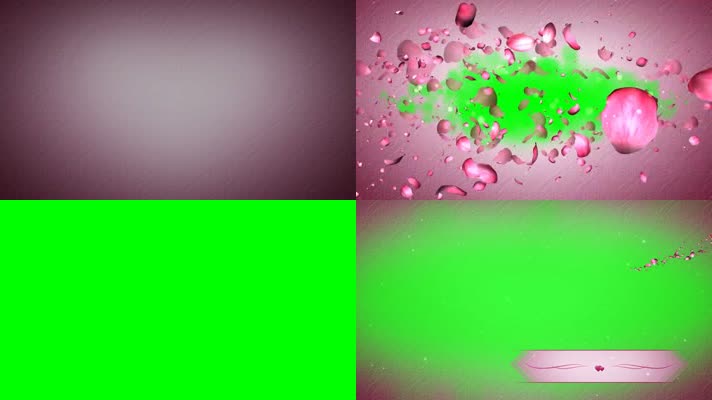 绿幕视频素材玫瑰花瓣转场