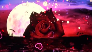 爱小虎队歌曲成品