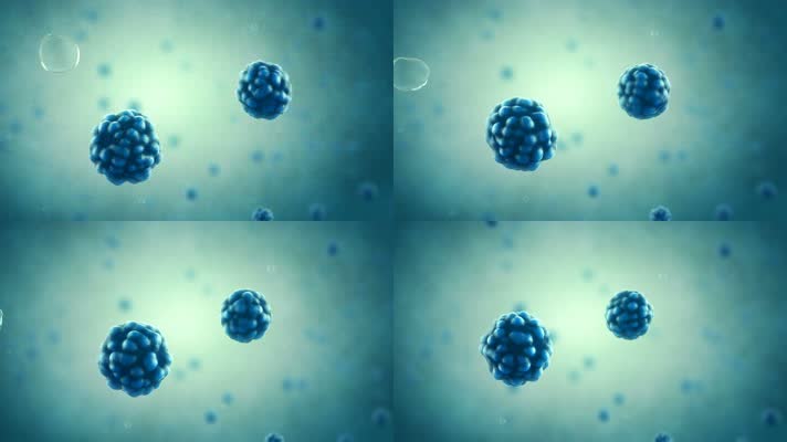 细菌细胞动画视频