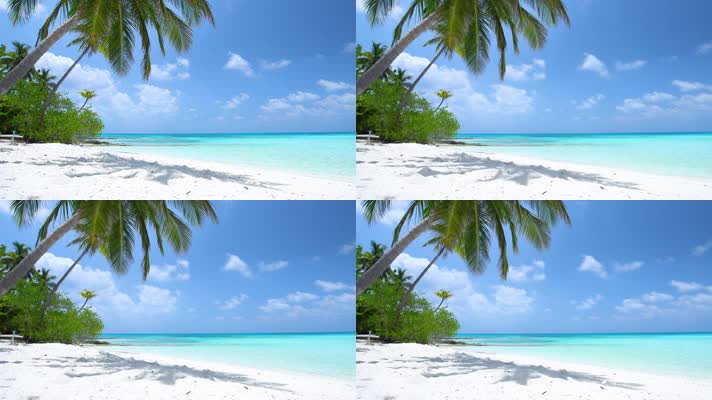 沙滩海面椰子树美景