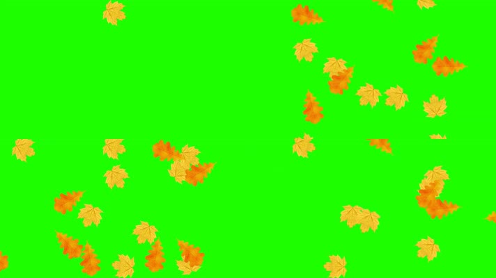 绿幕视频素材枫叶