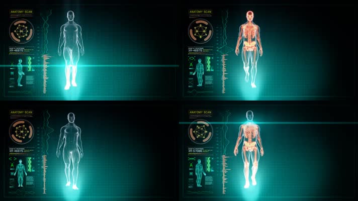 科技医疗人体模型结构