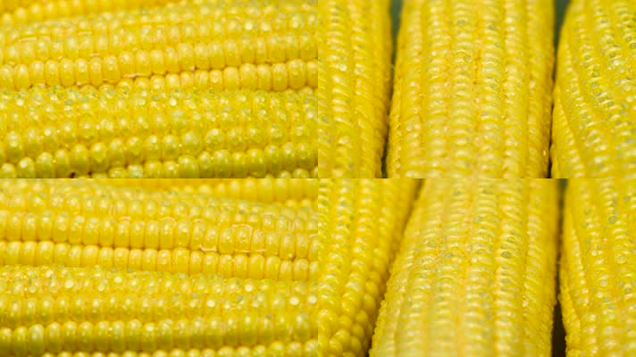 玉米 粮食 农作物 