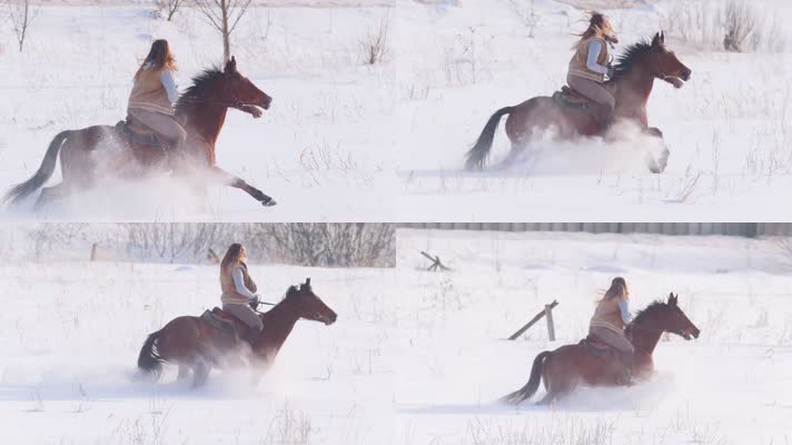 美女冬天雪地骑马 马术运动 