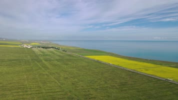 青海湖的油菜花4k