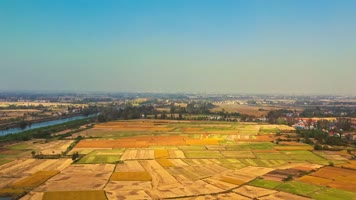 4k航拍秋天乡村农田金色稻谷田野丰收季节