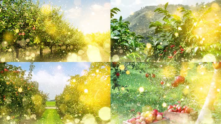 红山果-安与骑兵配乐视频