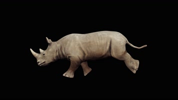 犀牛奔跑循环动画 黑幕 
