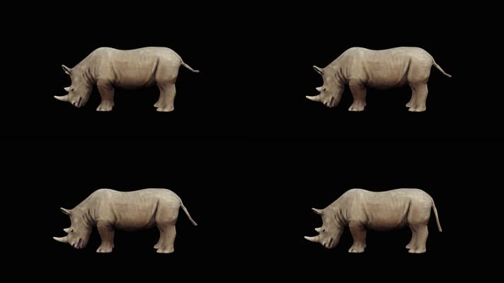 黑幕犀牛进食循环动画 4K视频