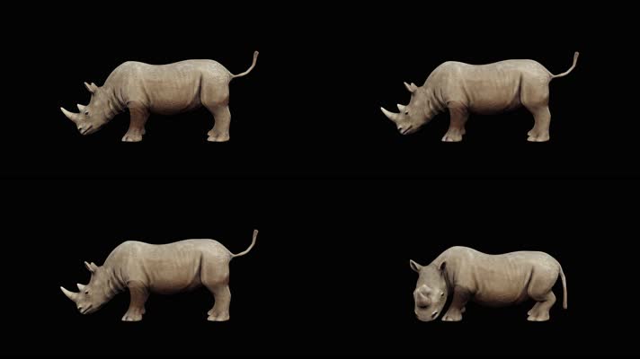 犀牛甩头循环动画 黑幕 4K视频