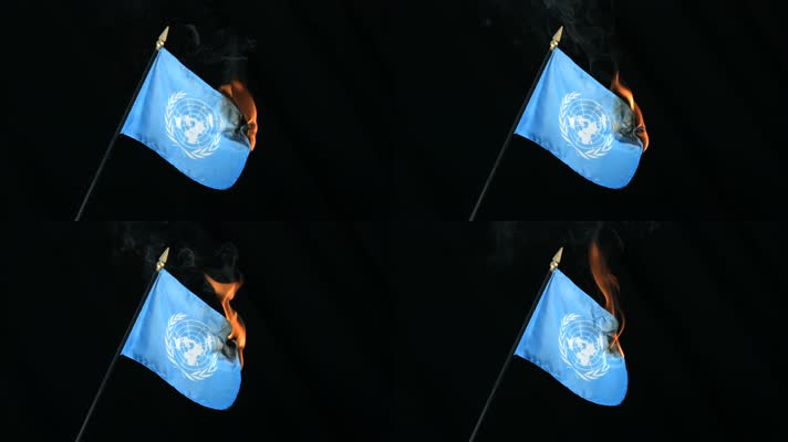 烧联合国旗帜