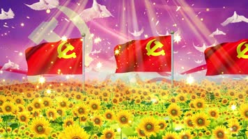 党旗飘飘配乐成品