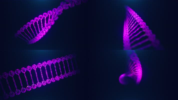 4K三维紫色DNA基因序列视频