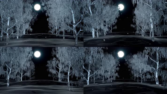 夜景下的森林雪景动画视频