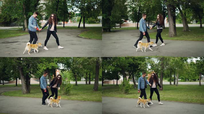 男女情侣和宠物狗公园散步 升格视频