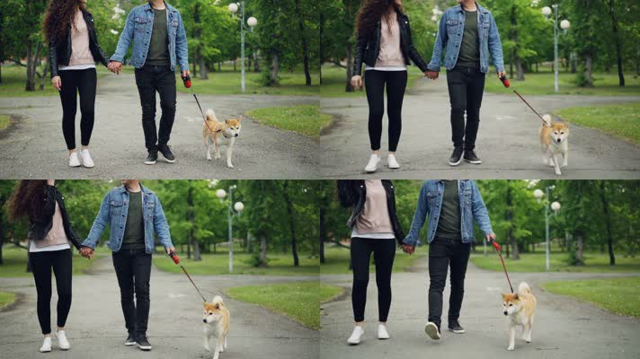 情侣公园遛狗 散步 升格视频