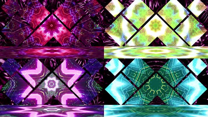 乌龟组合《Bingo》韩国热舞抖音BGM