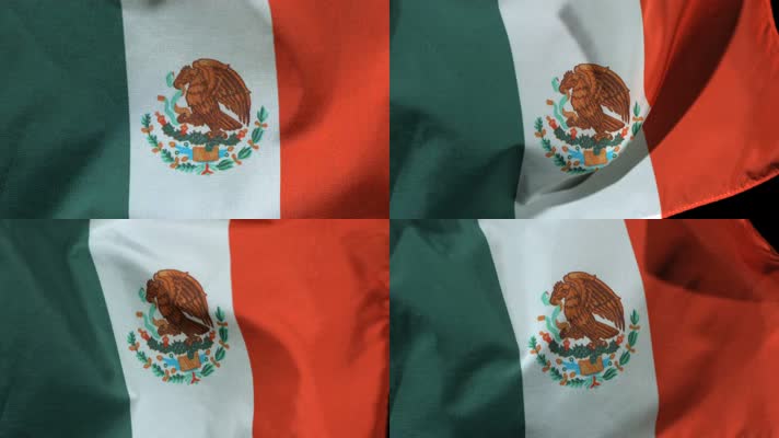 飘扬的墨西哥国旗 