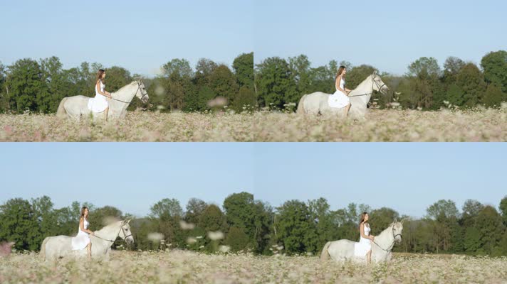 美女骑马穿过花田 4K升格视频