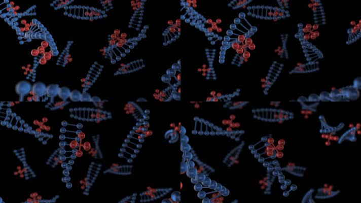  三维DNA基因序列视频 