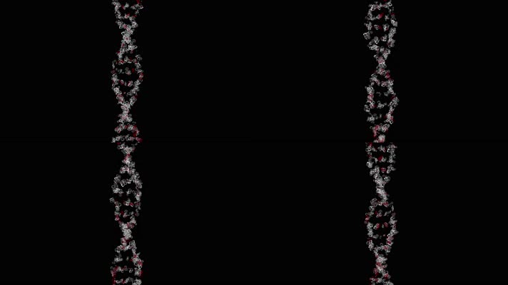 4K彩色旋转DNA动画背景