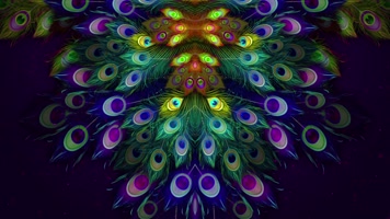 孔雀羽毛旋转 奢华 舞台背景 