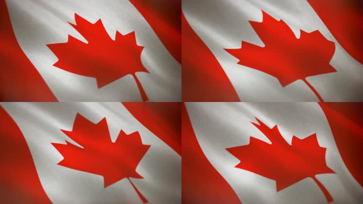 加拿大国旗飘扬 国旗  
