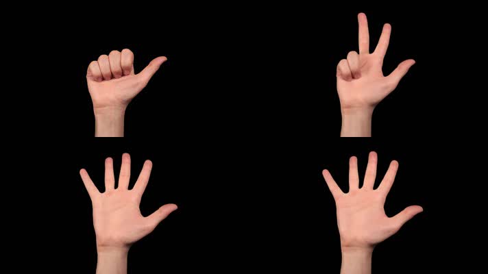 手指数数 手势 手部语言 