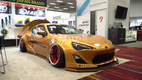 豪车车展，人群人流