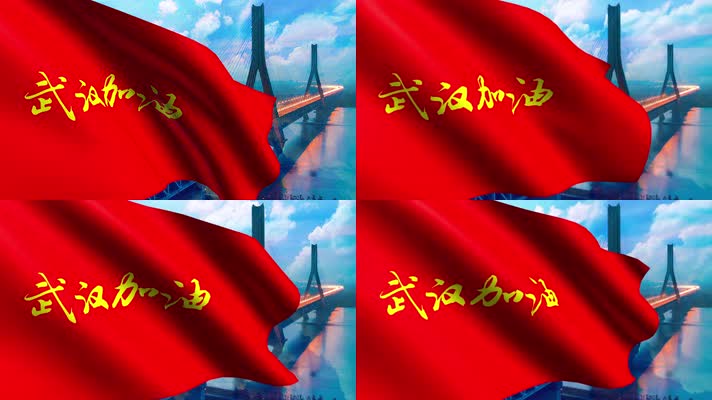 武汉加油旗帜视频