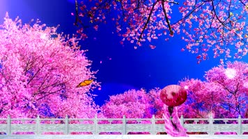 桥边姑娘陶笛伴奏背景 桥边姑娘陶笛伴奏背景