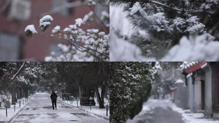 北京下雪，积雪，大红灯笼高高挂，节日喜庆