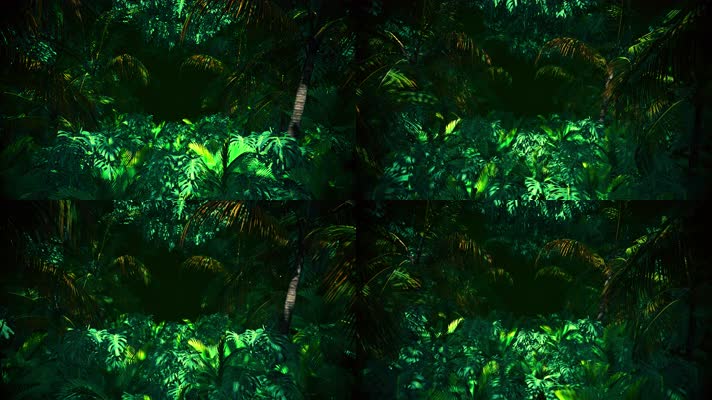 穿梭绿色热带丛林动画背景