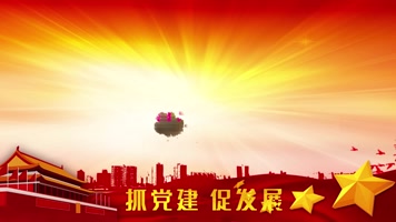 党政党纪大气宣传册图文展示PR模板