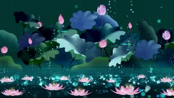 荷花led视频背景3