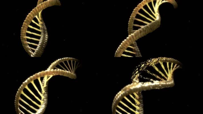 三维基因 基因链 医疗科技 