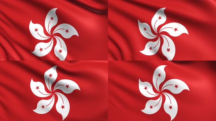 香港区旗 4K视频