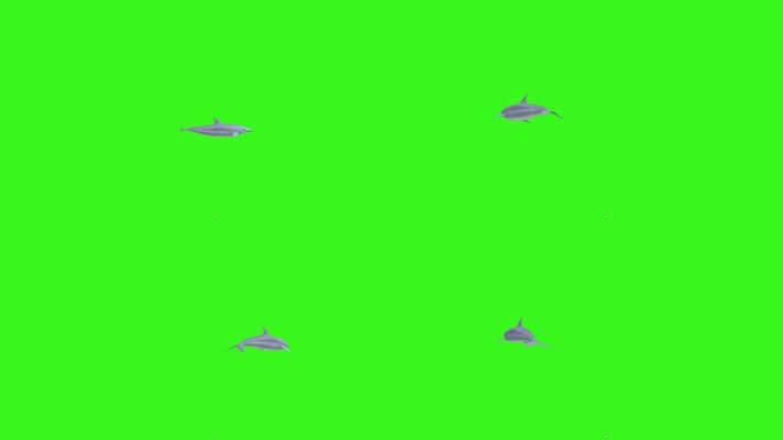 3D海豚绿屏抠像