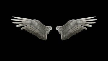 银色翅膀(带透明通道) 银色翅膀(带透明通道)
