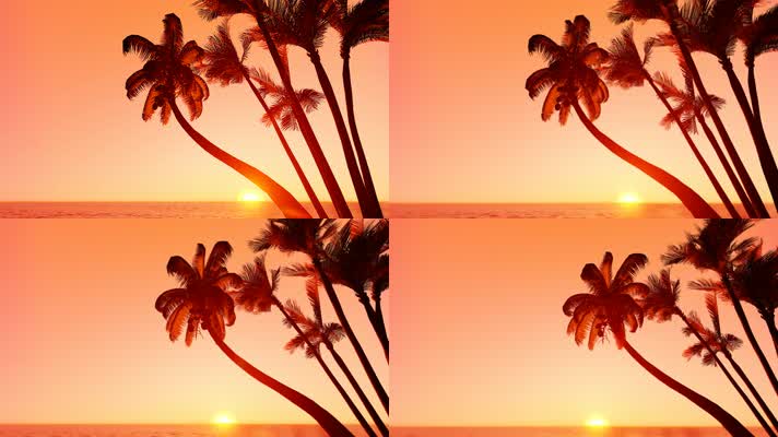 海边的椰树 唯美夕阳 唯美日落